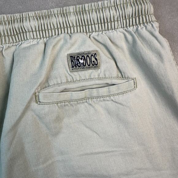 Vintage 90s Y2K Big Dogs Dad Shorts Mens L Khaki Cargo Outdoor Casual Men Soft - Picture 2 of 12